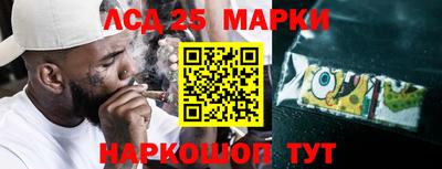 сатива Моздок