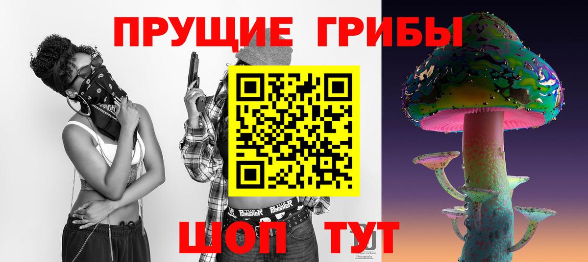 Шатура  где можно купить   Вход с VPN  Псилоцибиновые грибы ЛСД  Галлюциногенные грибы Psilocybe 